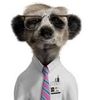 Sergei.jpg