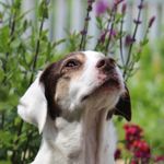Profile (mack29446)