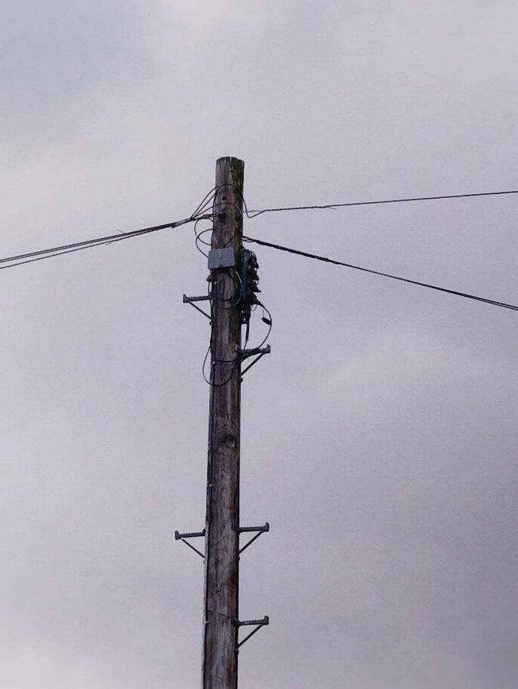 Grey box on telegraph pole