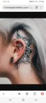 Profile (HMV123)