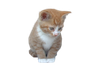 dusty1.png