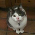 Profile (pamandsquirrel)