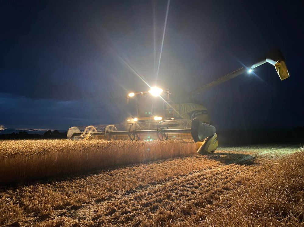 1. Night harvesting.jpg