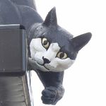 Profile (CatfordCat)