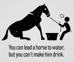 horse-water-.jpg