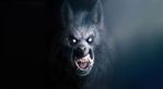 OIP.jfifwerewolf.jfif