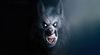 OIP.jfifwerewolf.jfif