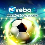 ttbongvebotv