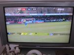 IMG_1371.jpg