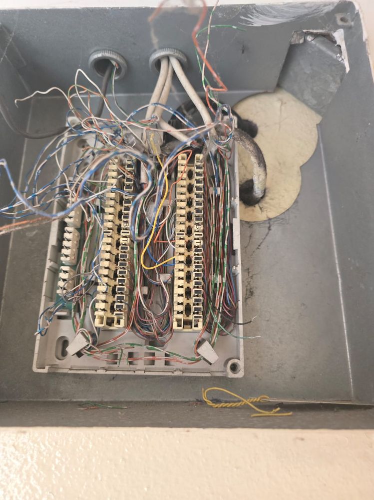 WhatsApp Image 2025-07-28 at 16.24.17_ea3c2c59.jpg