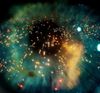 blade-runner-final-cut_optimized.jpg