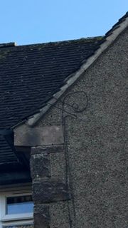 image4.jpeg