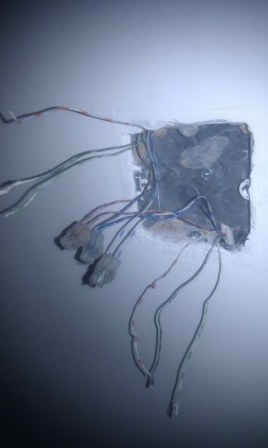 IMAG0349.jpg